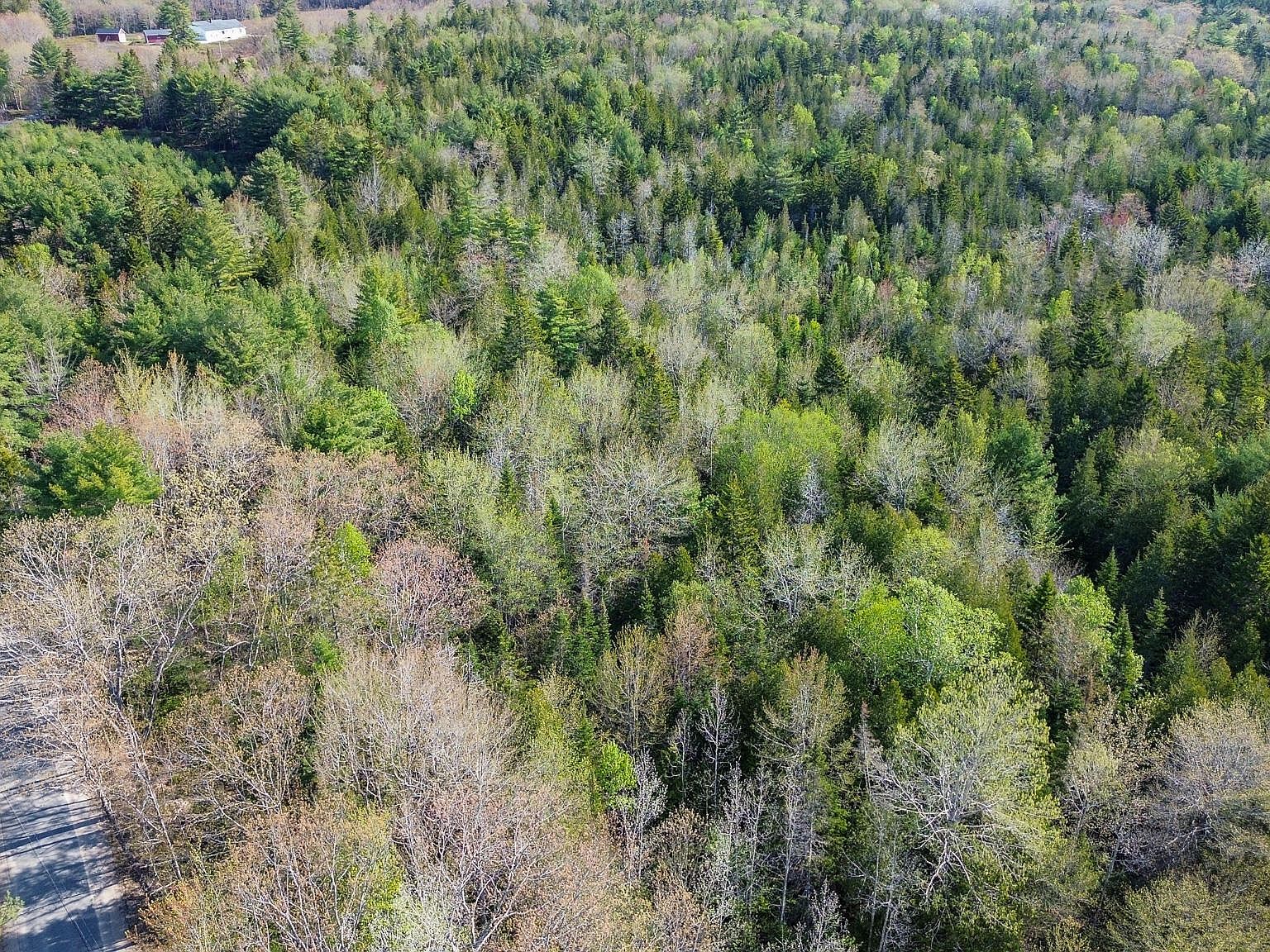 006-019A Punkinville Rd Sullivan, ME 04664  | Land/Lot