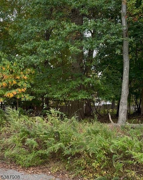 0 Oakwood Ave Pequannock, NJ 07440  | Land/Lot