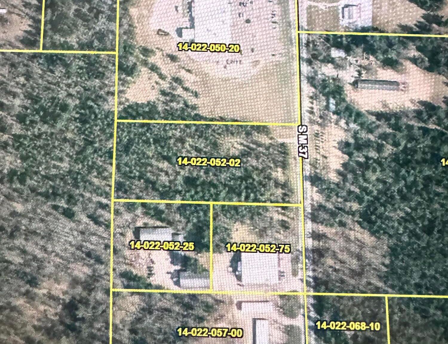 9643 S M 37 Baldwin, MI 49304  | Land/Lot