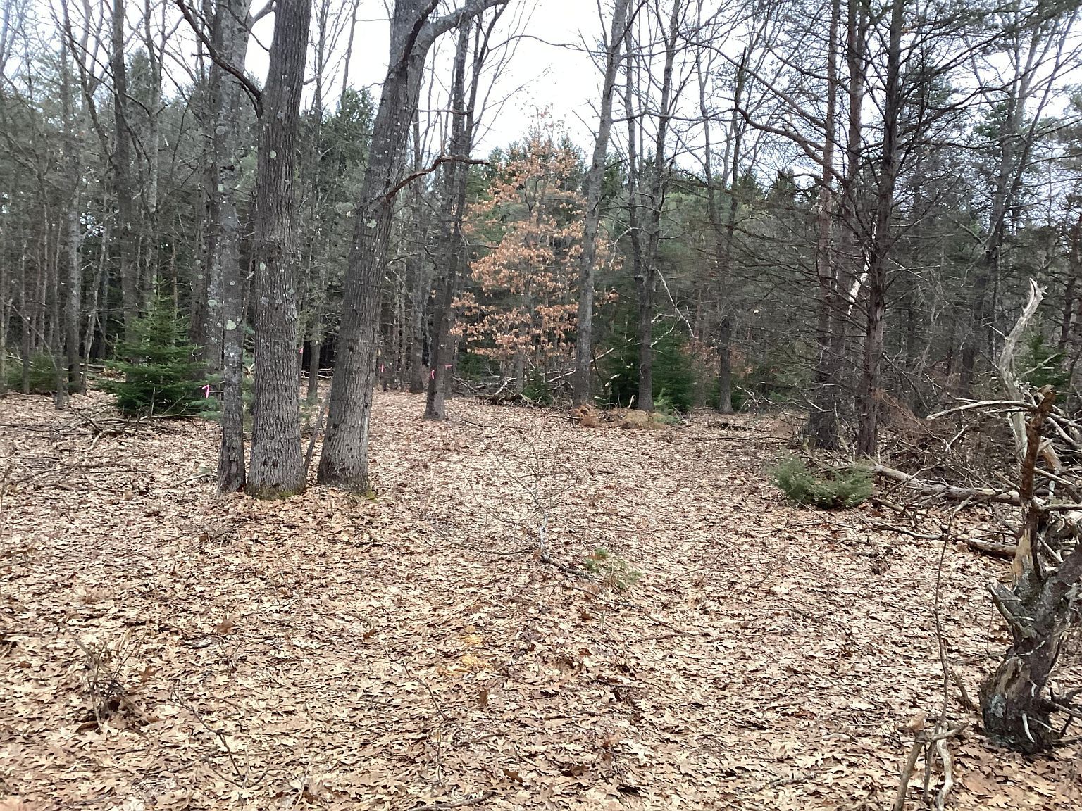 2510 W Winston Rd Rothbury, MI 49452  | Land/Lot