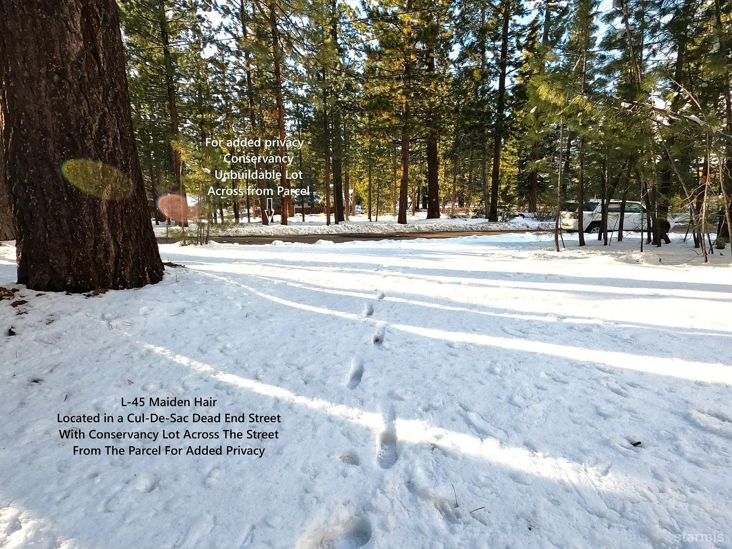45 Maidenhair Ct Unit 45 South Lake Tahoe, CA 96150 - Thumbnail 2