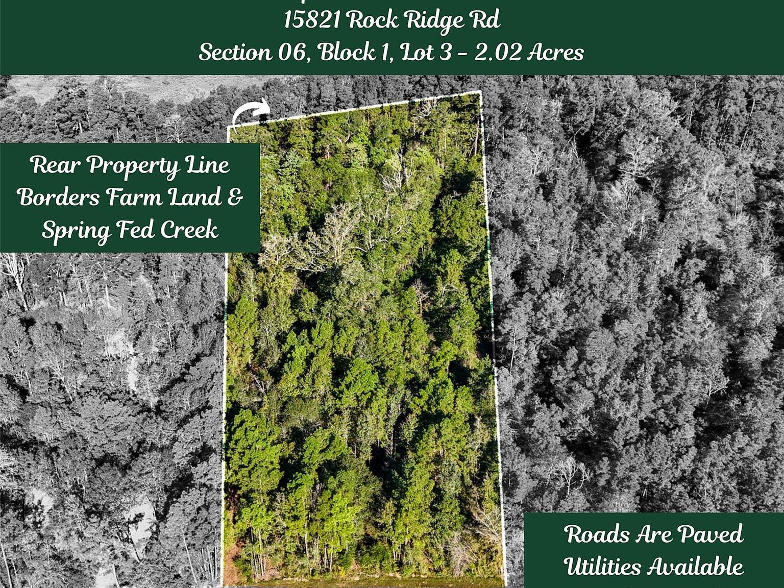 15821 Ridge Rock Rd Willis, TX 77378 - Thumbnail 2