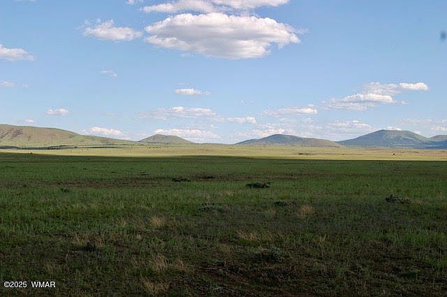 55 Lakeland Concho, AZ 85924 - Thumbnail 2