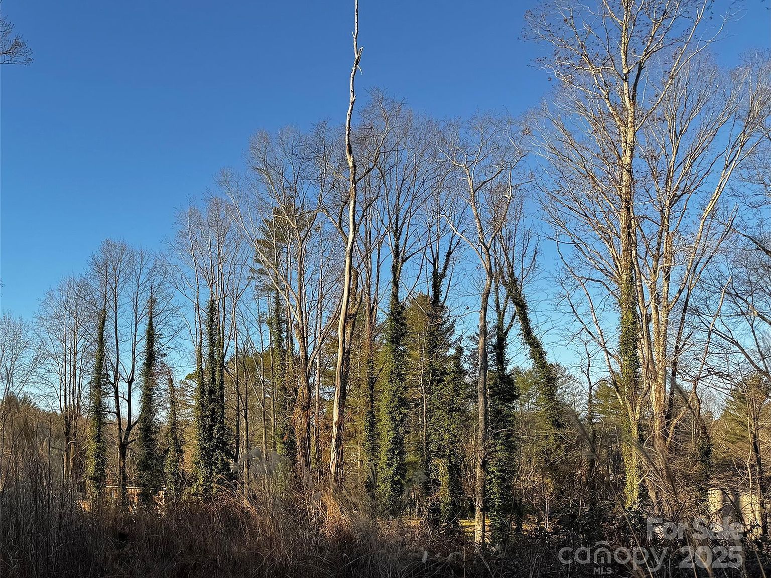 0 N Westview Ct #14 Fletcher, NC 28732 - Thumbnail 2