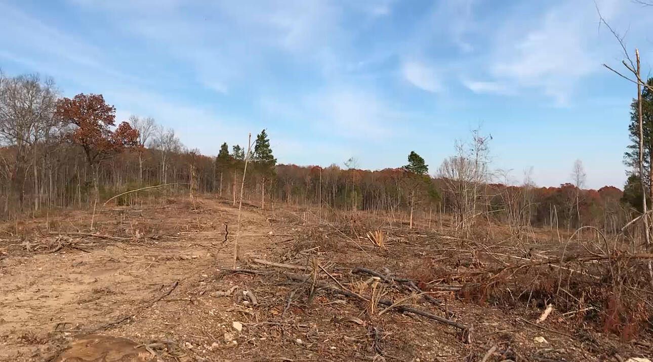 233 County Road 83 Athens, TN 37303 - Thumbnail 2