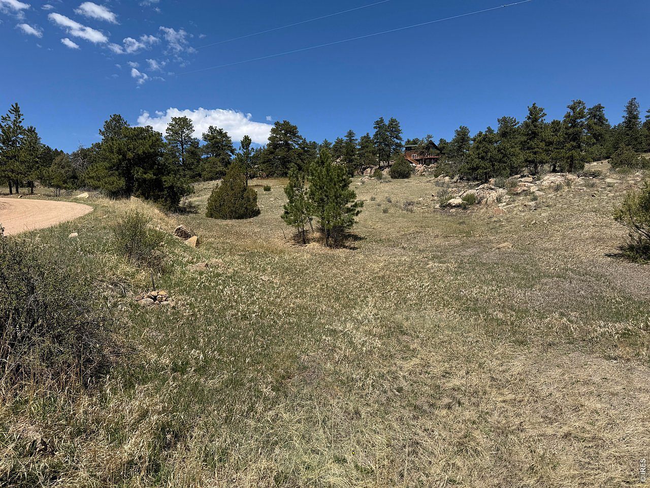 565 Le Conte Dr Livermore, CO 80536  | Land/Lot
