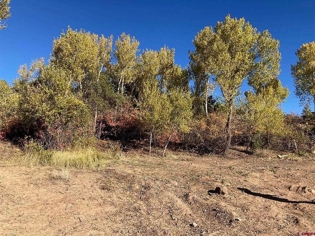 1590 SE 3rd St Cedaredge, CO 81413 - Thumbnail 2