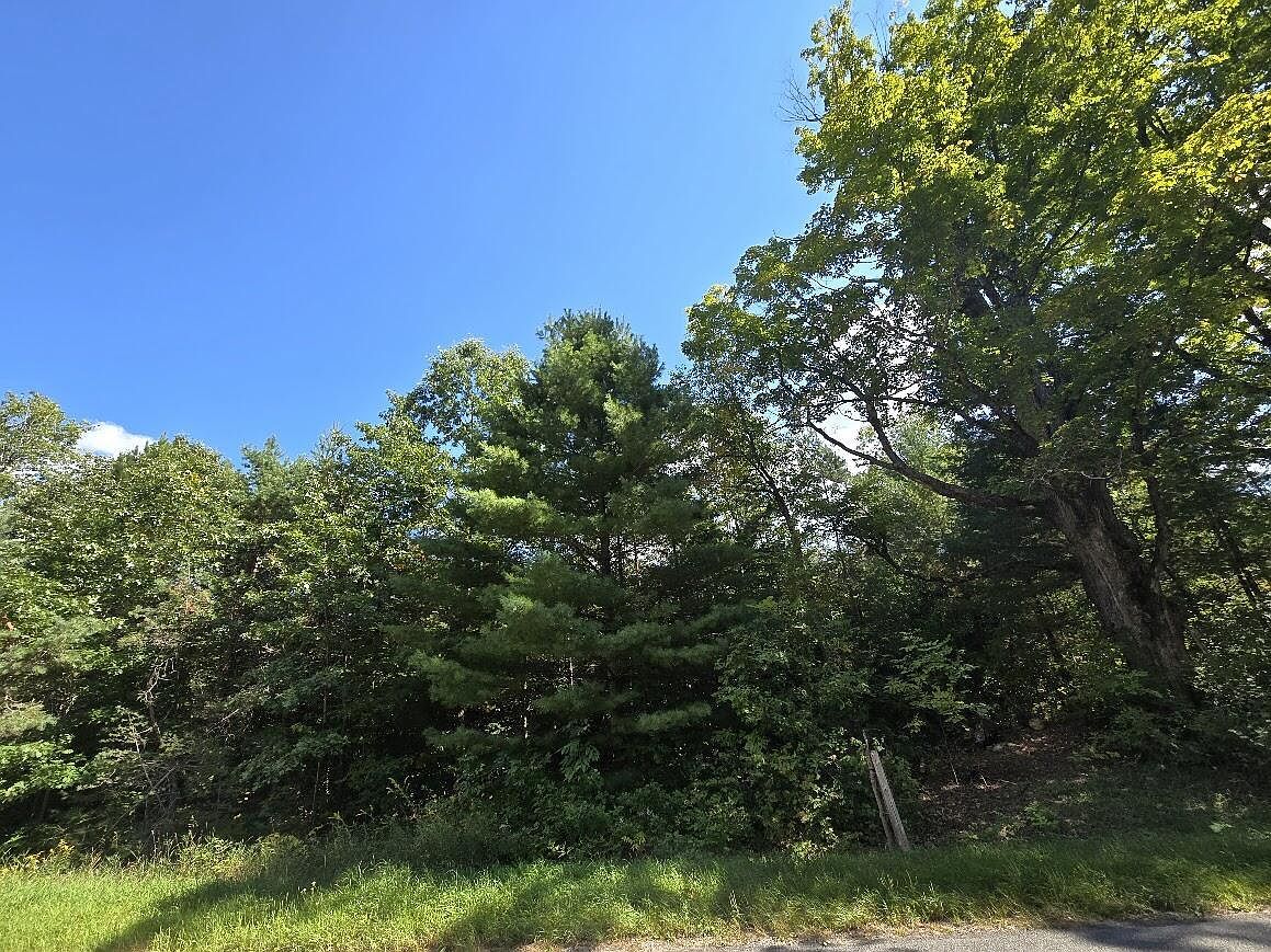 00 Hawkins Rd Luther, MI 49656 - Thumbnail 2