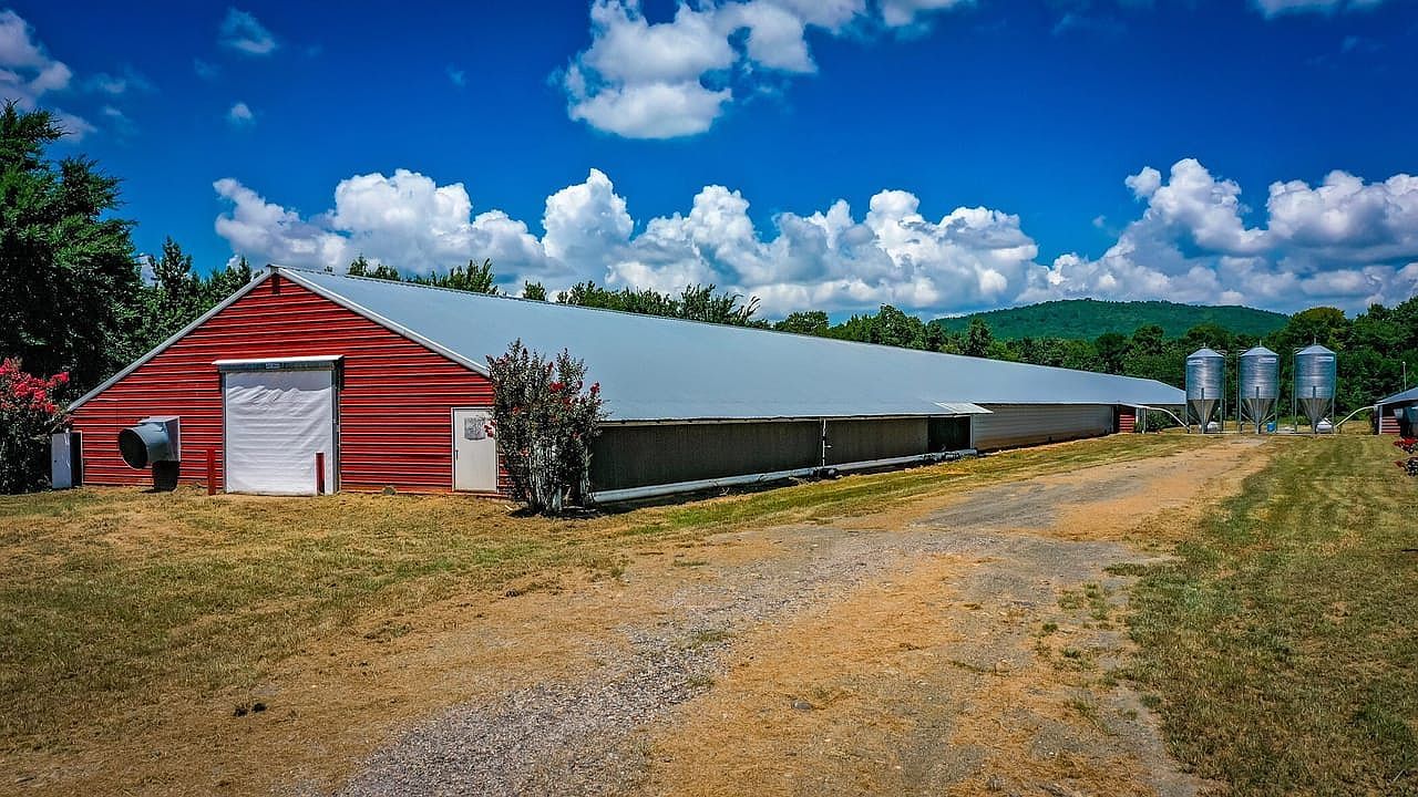 154 Bald Eagle Ln Mena, AR 71953 - Thumbnail 2