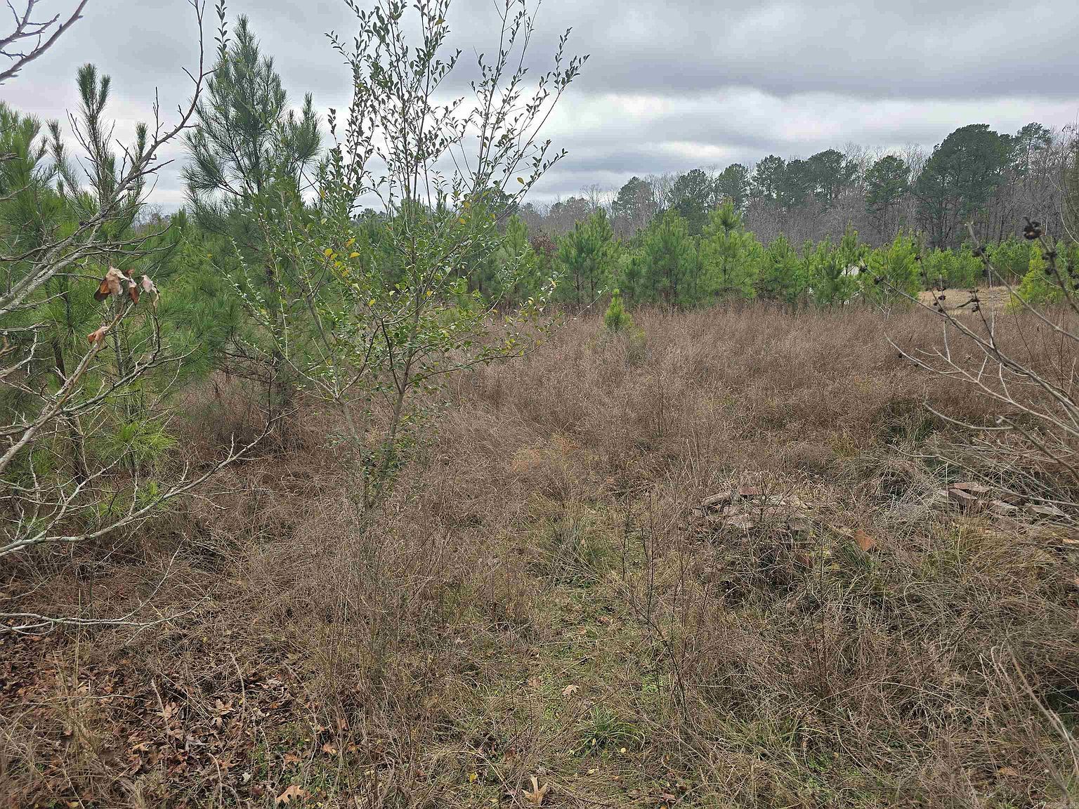 Wilson Lake Ln Hot Springs National Park, AR 71901 - Thumbnail 2