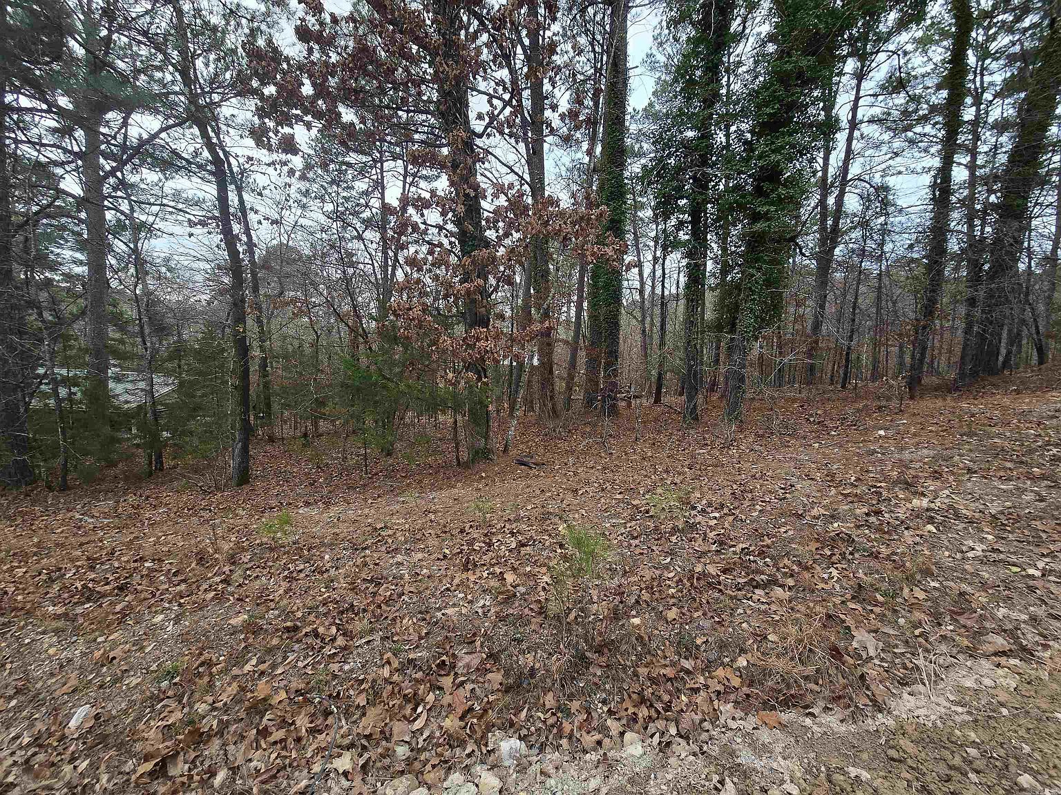 Doubloon Cir Hot Springs National Park, AR 71913 - Thumbnail 2