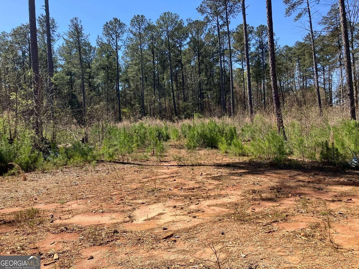 2920 Airline Rd McDonough, GA 30252 - Thumbnail 2