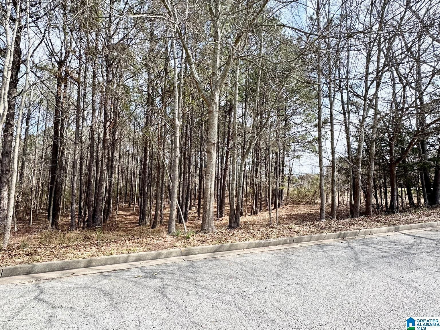 0 Fairway Dr #8 Roanoke, AL 36274 - Thumbnail 2