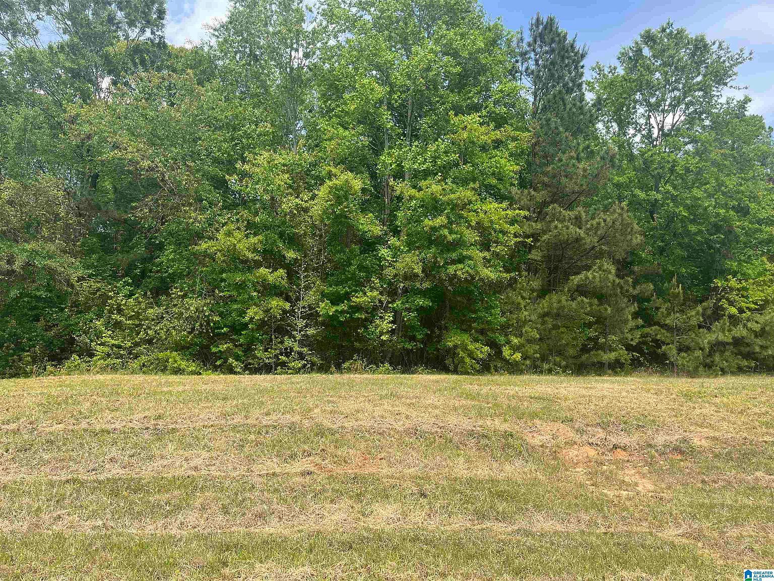 13 Mary Dr Roanoke, AL 36274 - Thumbnail 2