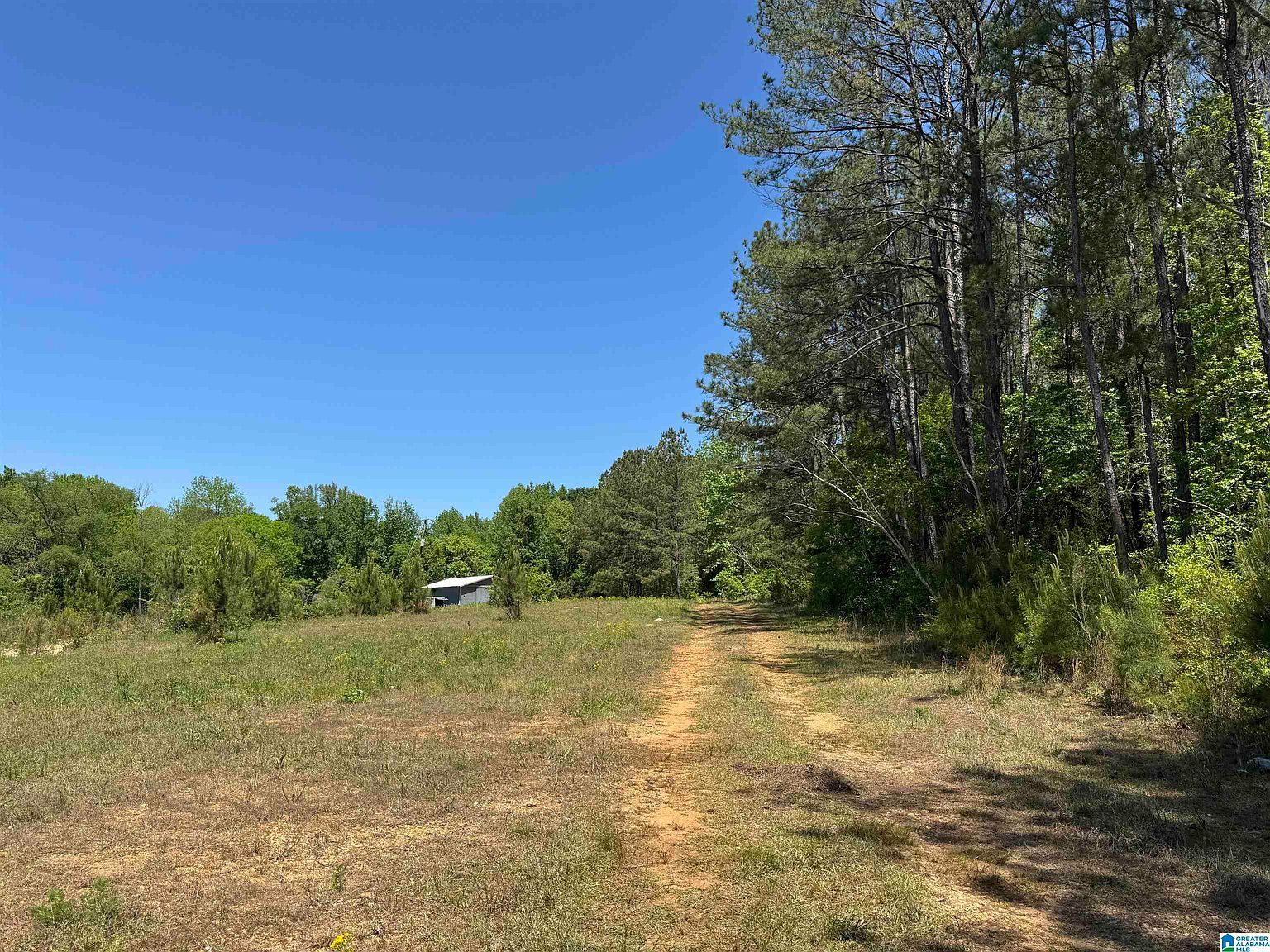 Satterwhite St #11.75 Roanoke, AL 36274 | Land/Lot