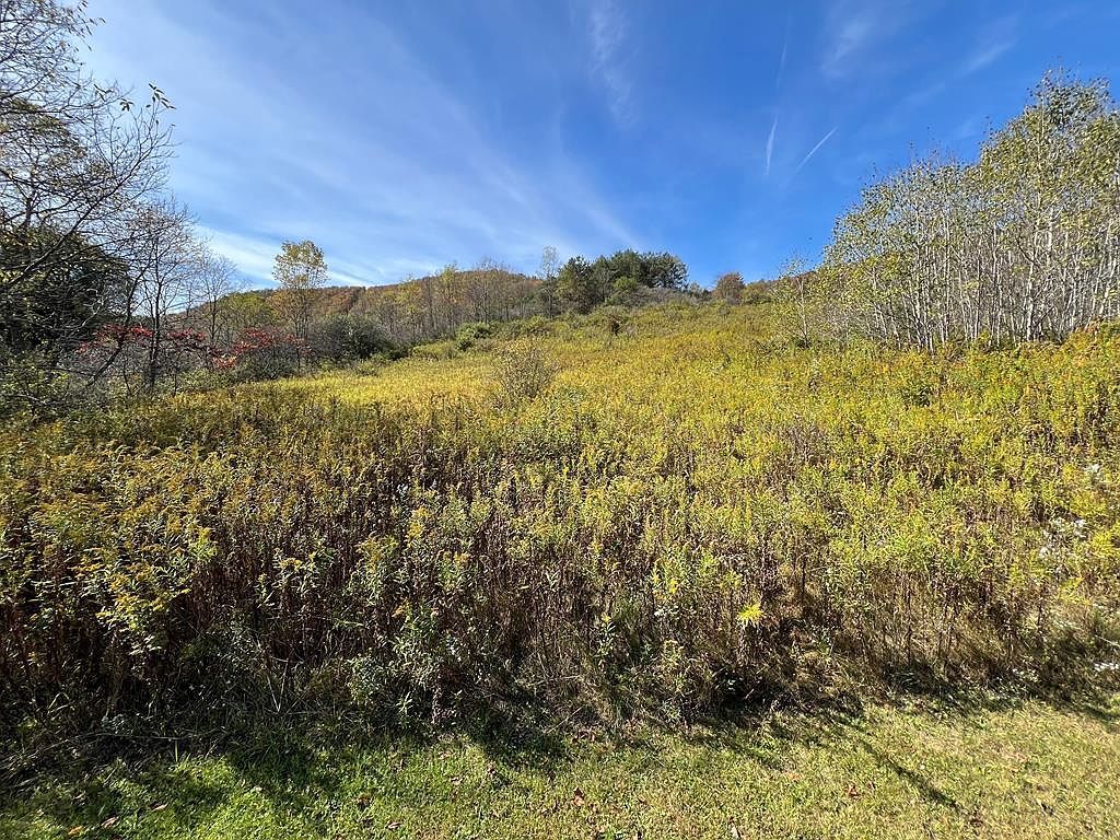 32 Phoebe Ln Coudersport, PA 16915 - Thumbnail 2