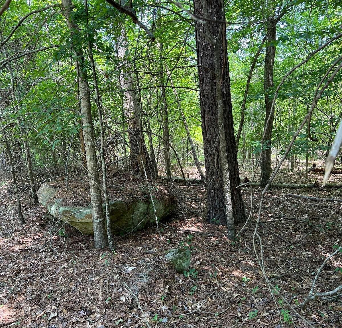 0 Crooked Creek Bay Rd Eatonton, GA 31024 - Thumbnail 2