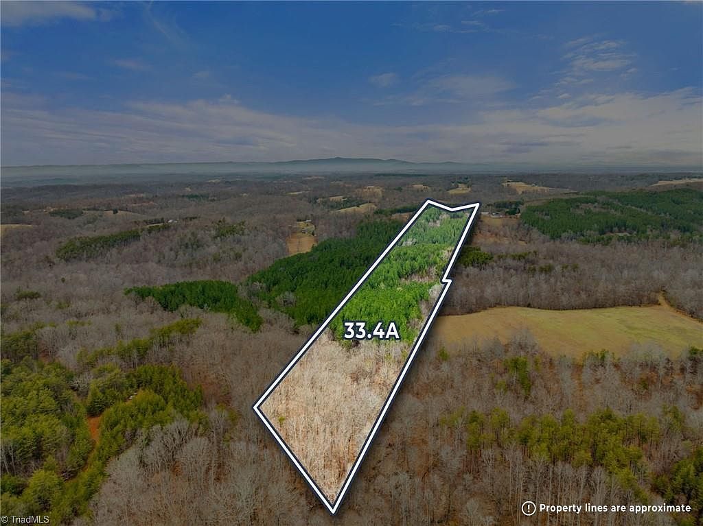 0 Doug Stanley Rd Sandy Ridge, NC 27046 - Thumbnail 2