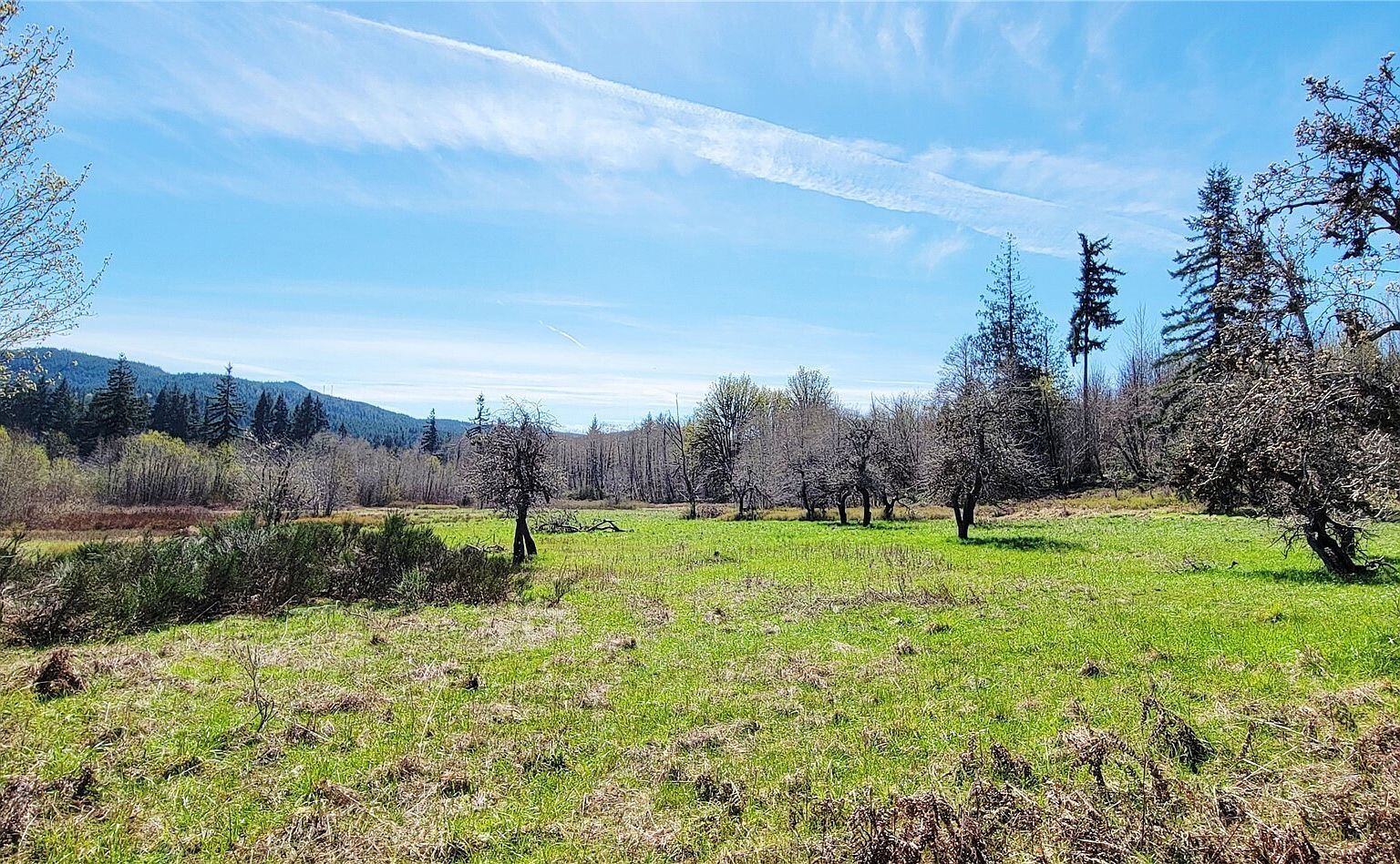 0 W Cloquallum Rd Shelton, WA 98584 | Land/Lot