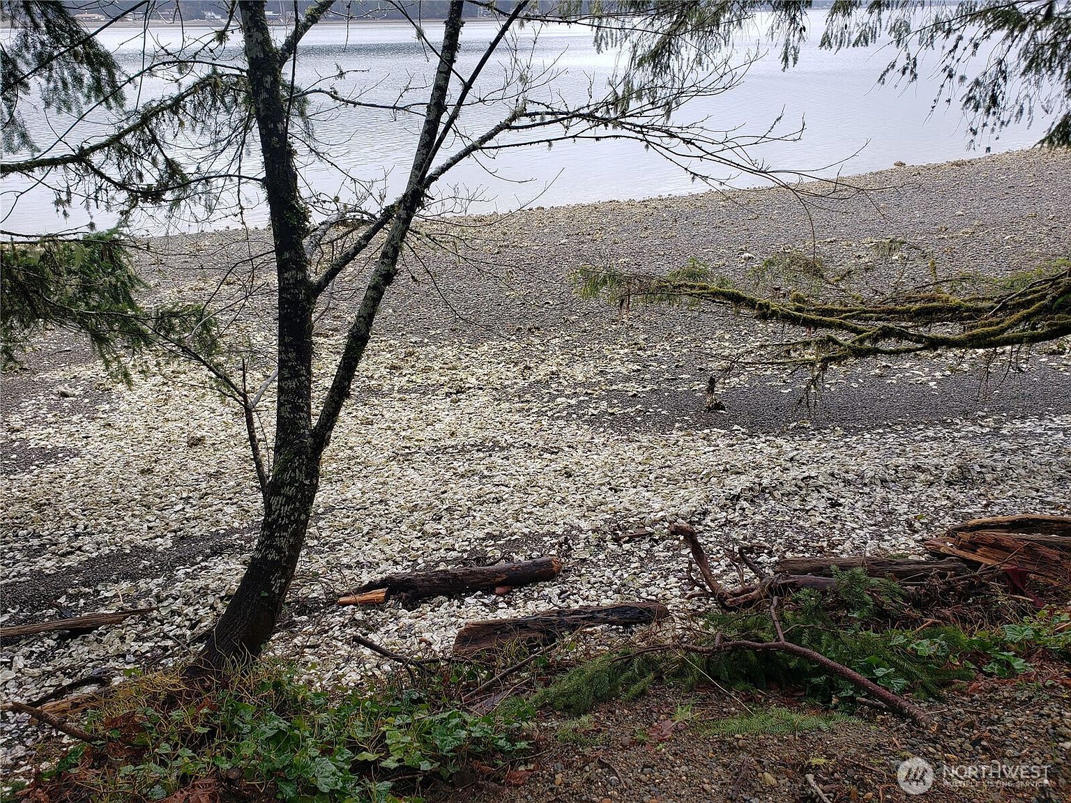 551 E Timber Tides Dr Union, WA 98592  | Land/Lot