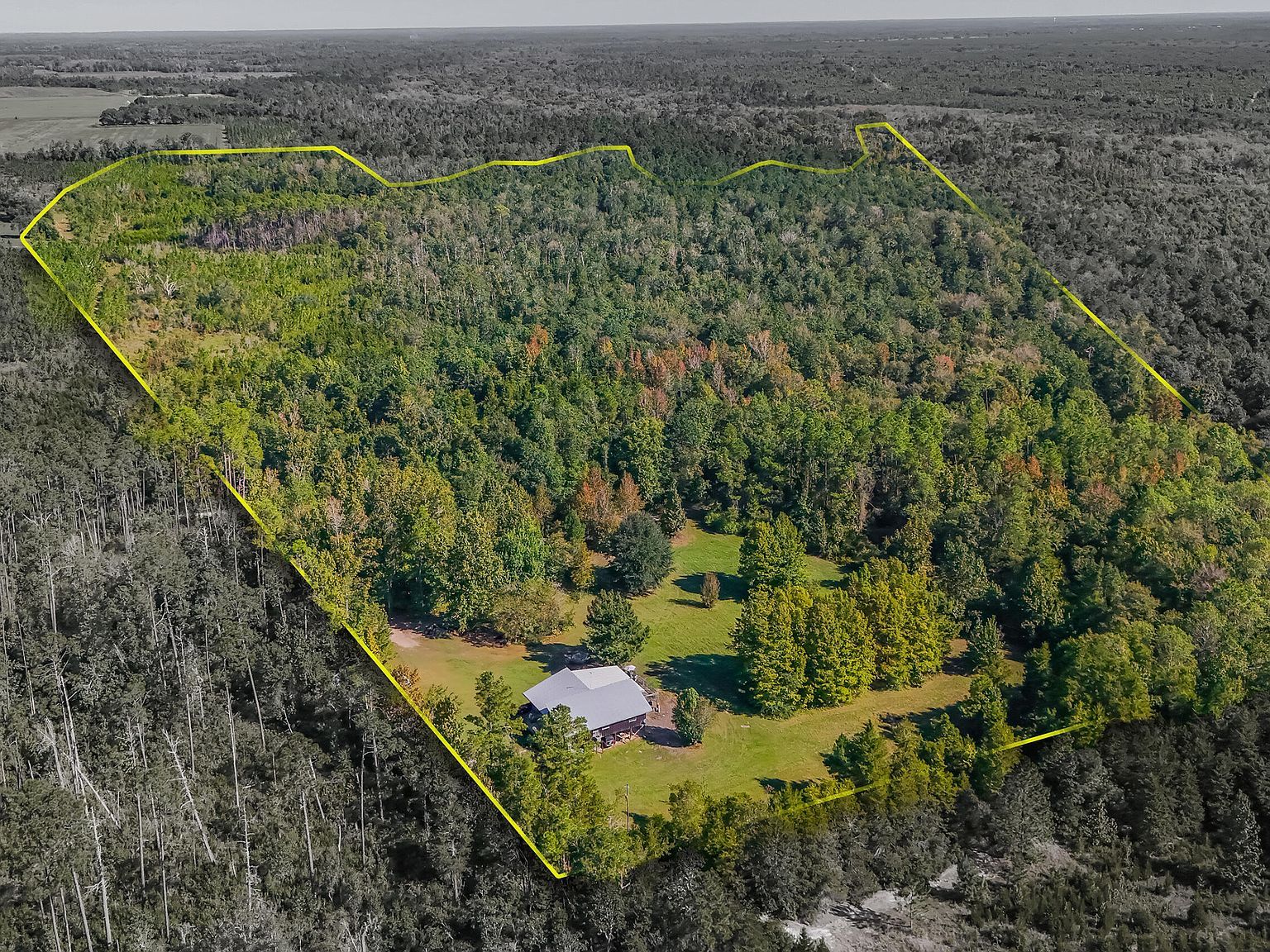 16540 NW County Road 379a Bristol, FL 32321 - Thumbnail 2