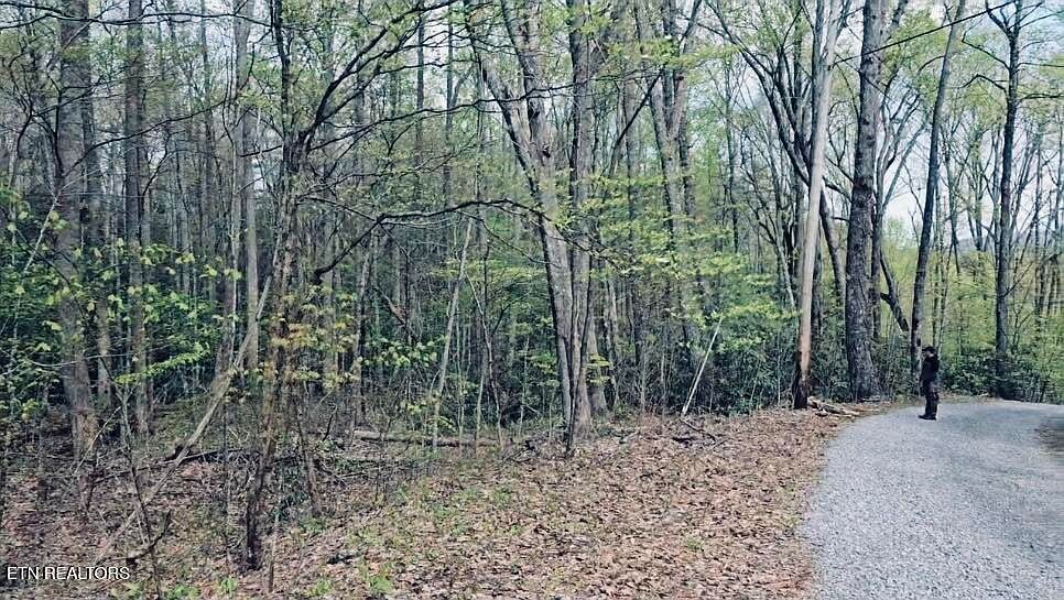 4046 Forest Trail Dr Sevierville, TN 37876 | Land/Lot