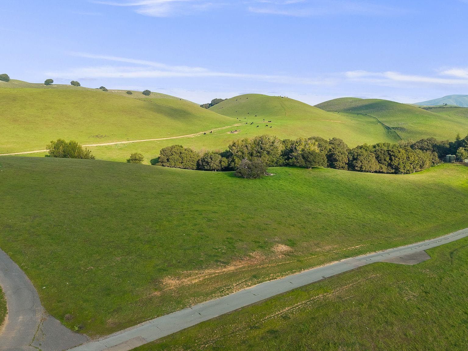 2395 Tecado Ter Fremont, CA 94539 - Thumbnail 2