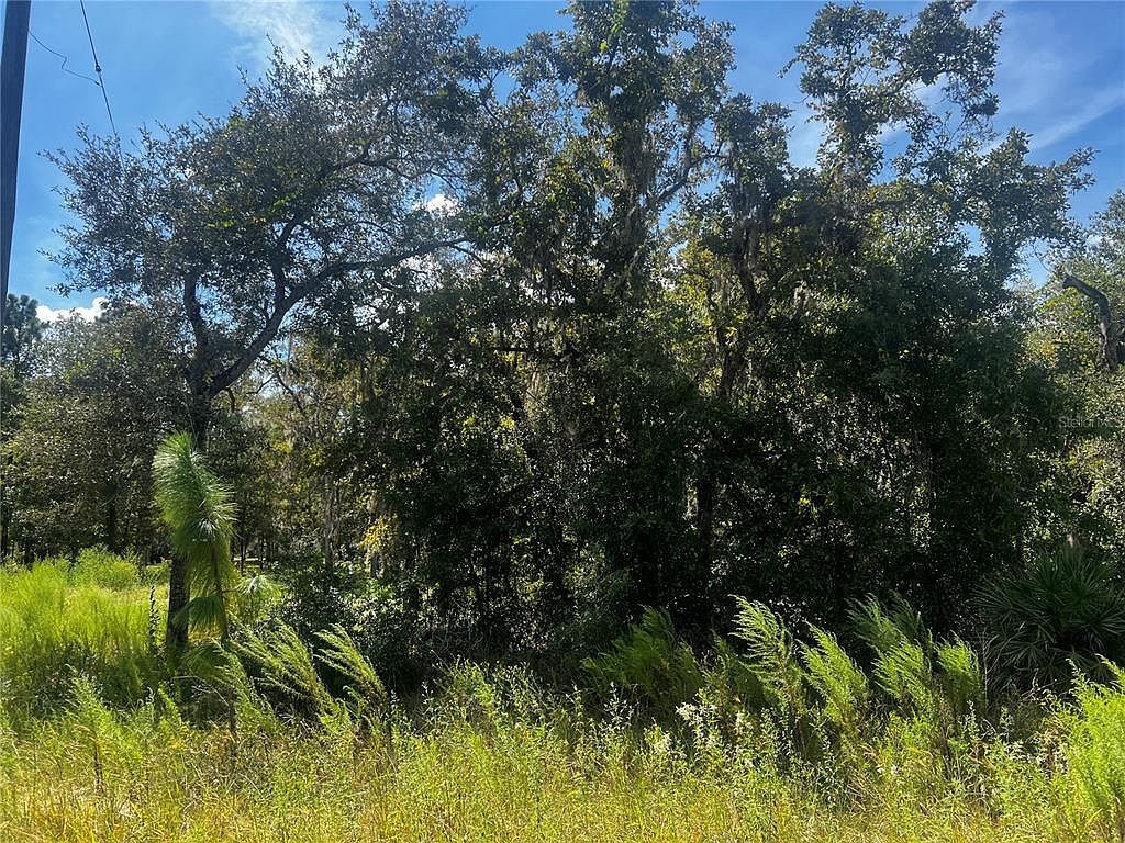 0 Crider Rd LOT 14 Brooksville, FL 34614 - Thumbnail 2