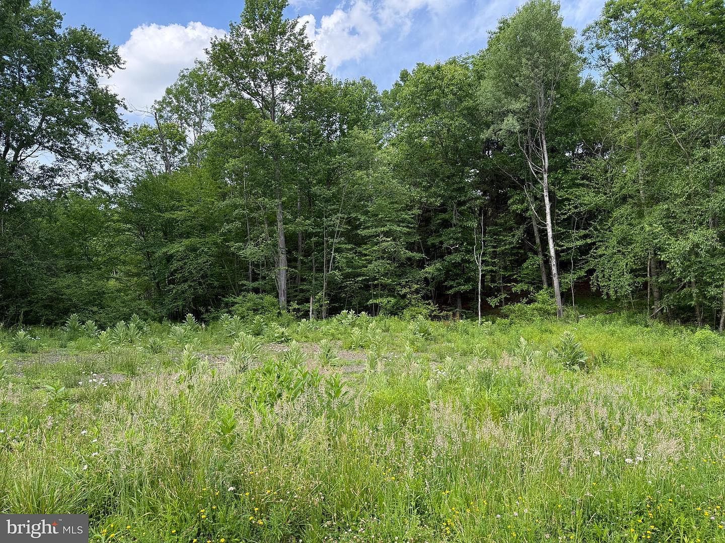 0 Frog Hollow Rd Philipsburg, PA 16866, 16866
