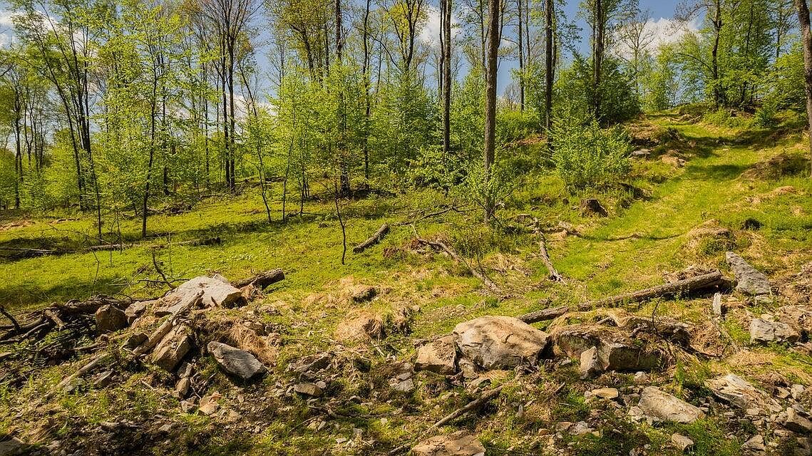 6A Gobbler Ridge Rd Sigel, PA 15860 - Thumbnail 2