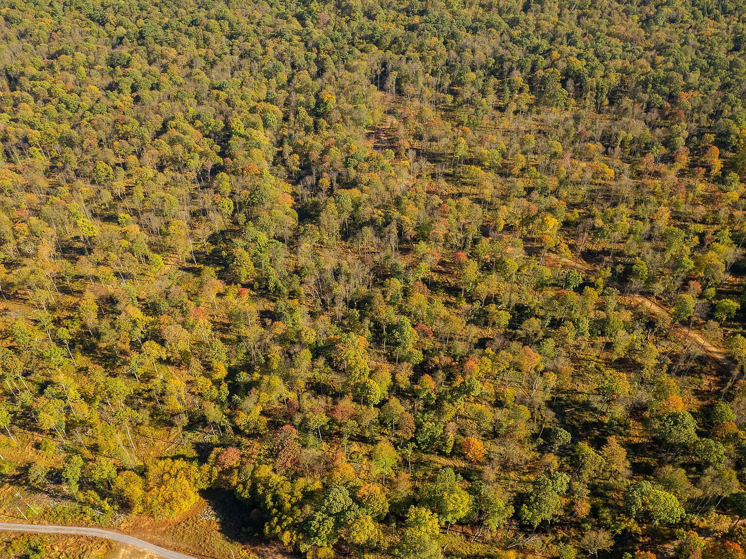 7A Gobbler Ridge Rd Sigel, PA 15860 - Thumbnail 2