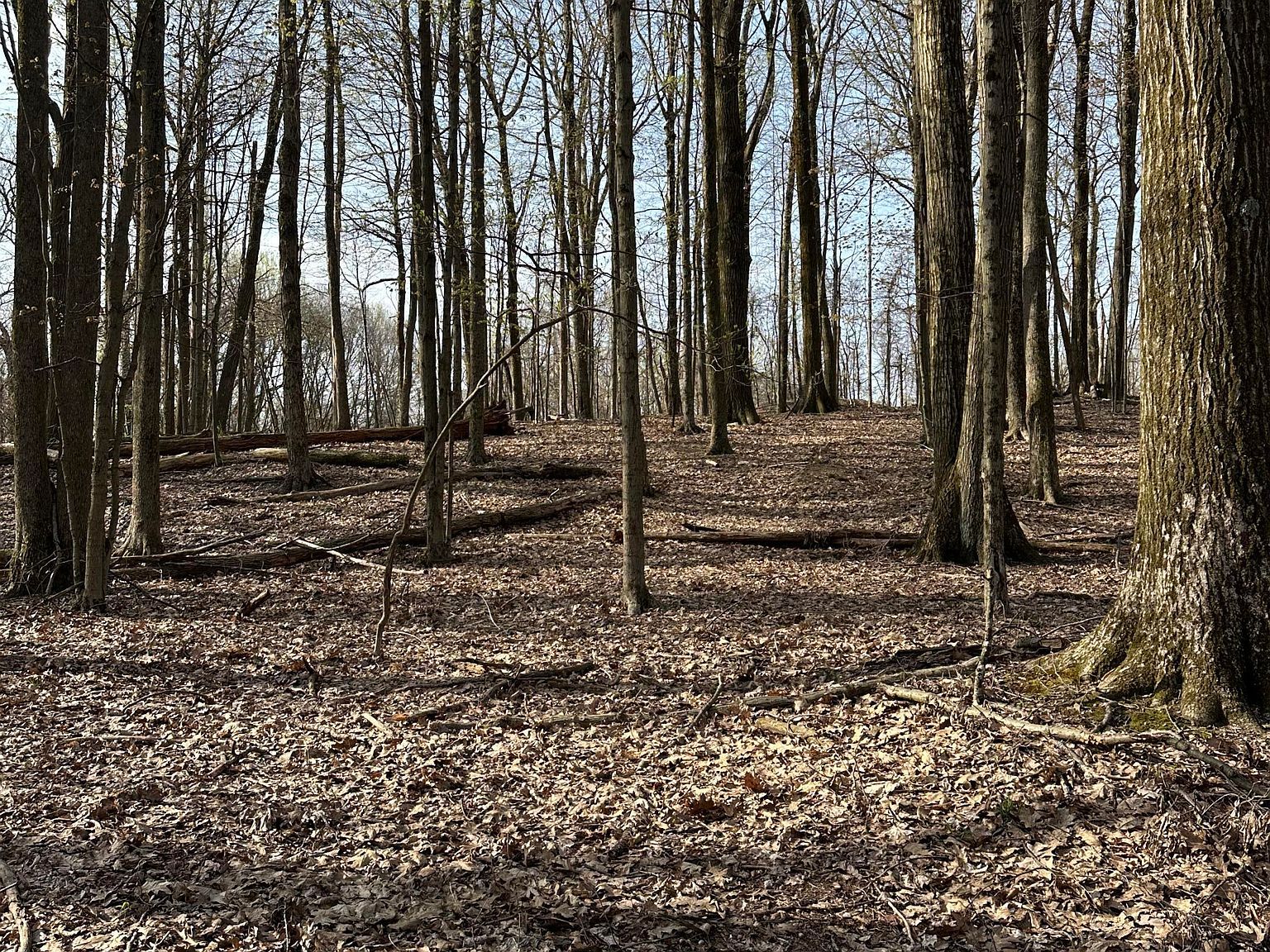 Galloway Rd LOT 249 Du Bois, PA 15801 - Thumbnail 2