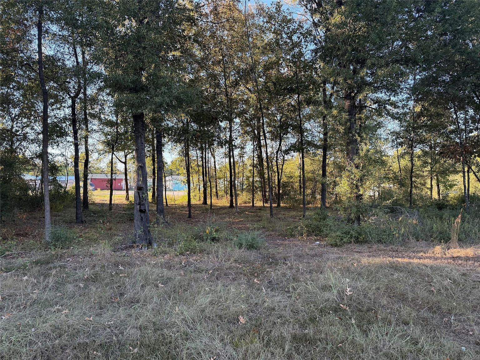 LOT 4 Rollingrock Dr LOT 4 Livingston, TX 77351 - Thumbnail 2