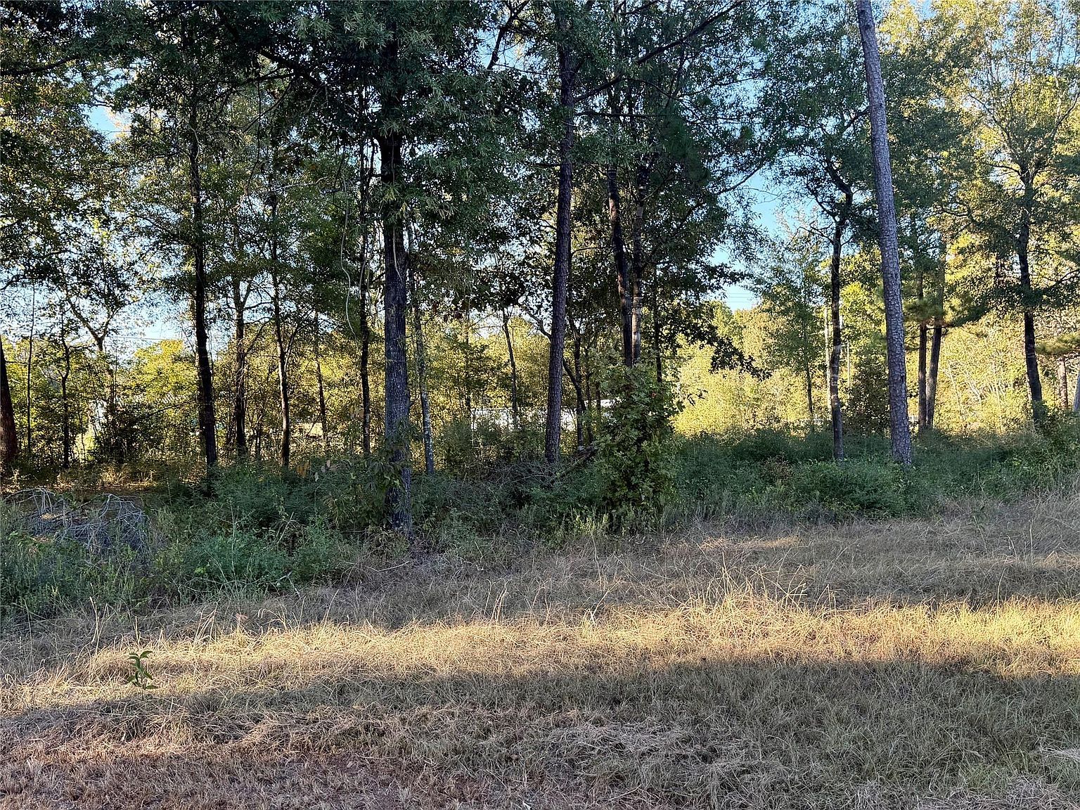 LOT 5 Rollingrock Dr LOT 5 Livingston, TX 77351 - Thumbnail 2