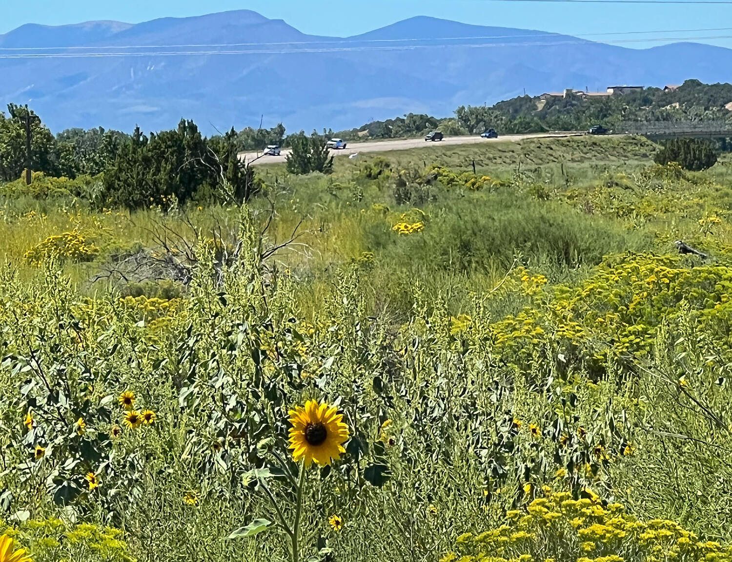 Highway 160 Tract #2 Walsenburg, CO 81089 - Thumbnail 2