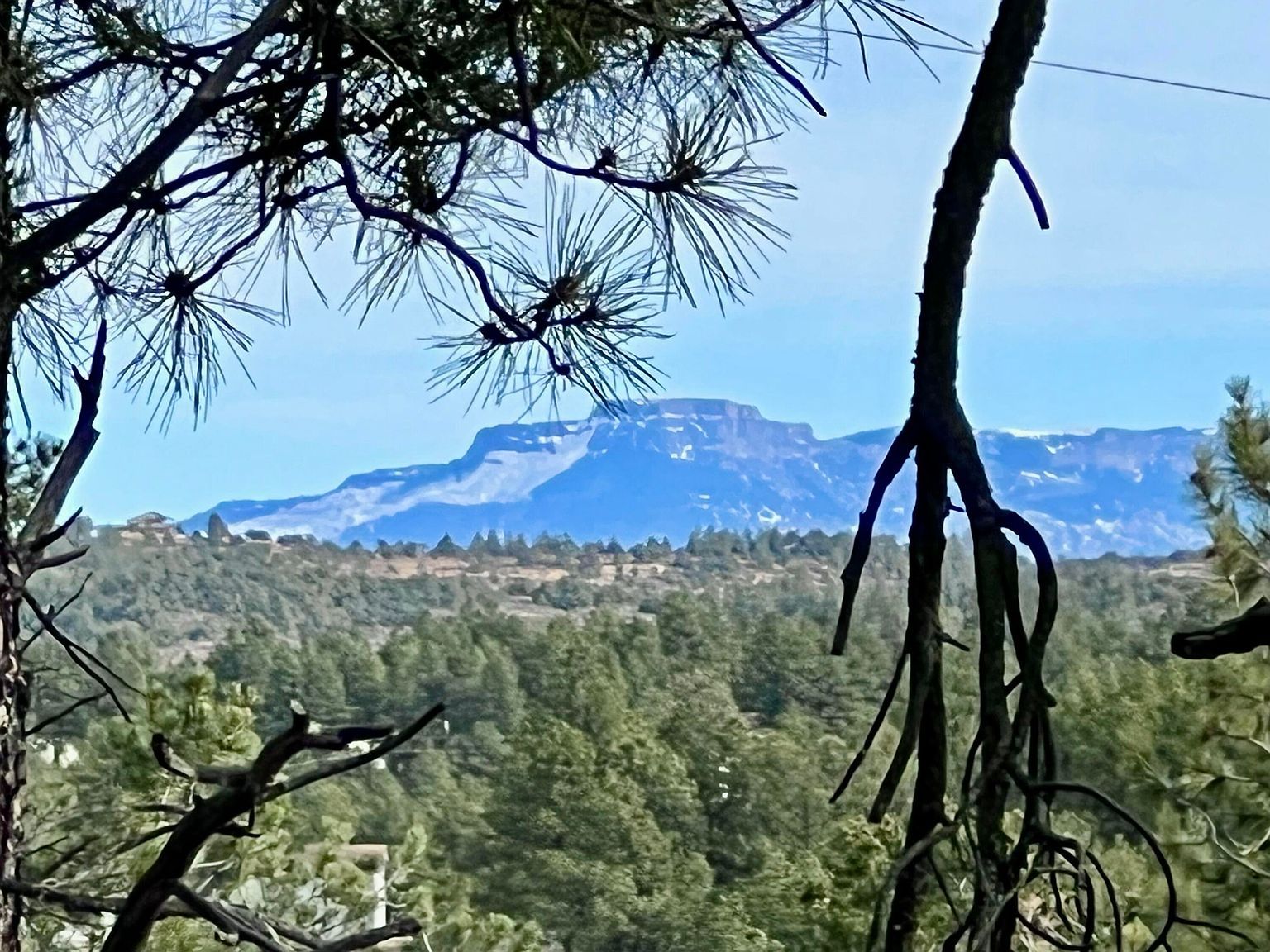 20127 Blue Jay Ln #114 Weston, CO 81091 - Thumbnail 2