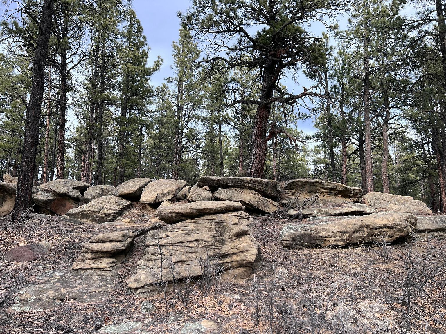 19985 Blue Jay Ln #115 Weston, CO 81091 - Thumbnail 2