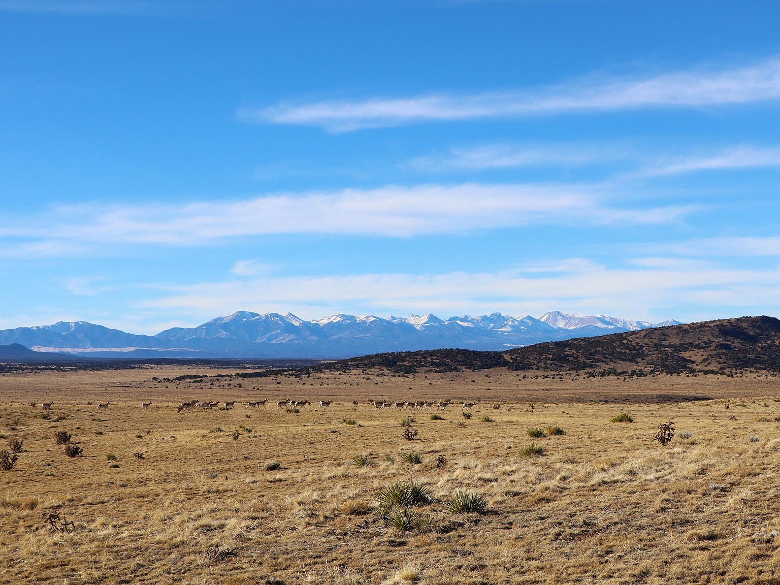 Black Hls LOT 279 Walsenburg, CO 81089 - Thumbnail 2