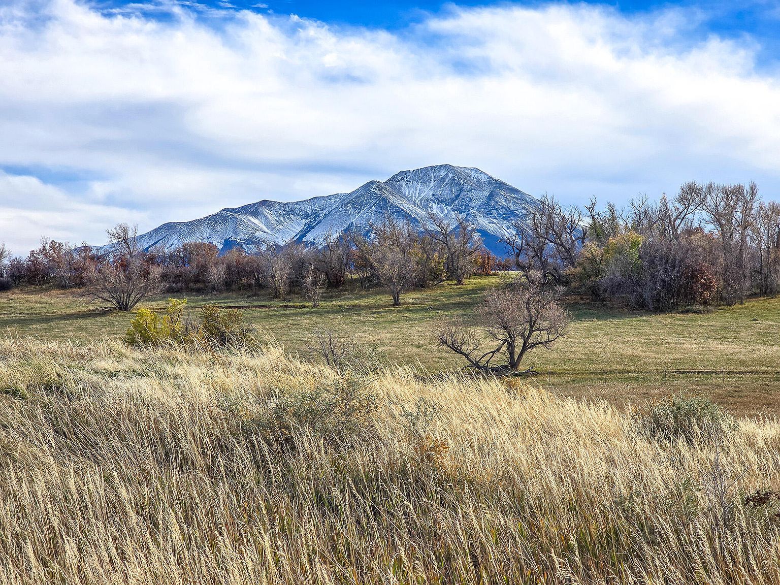 Grandote Golf & Country Clb #54 La Veta, CO 81055 - Thumbnail 2