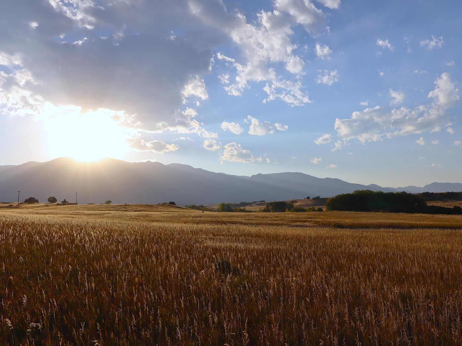 Lawrence Blvd LOT 222 Rye, CO 81069 - Thumbnail 2