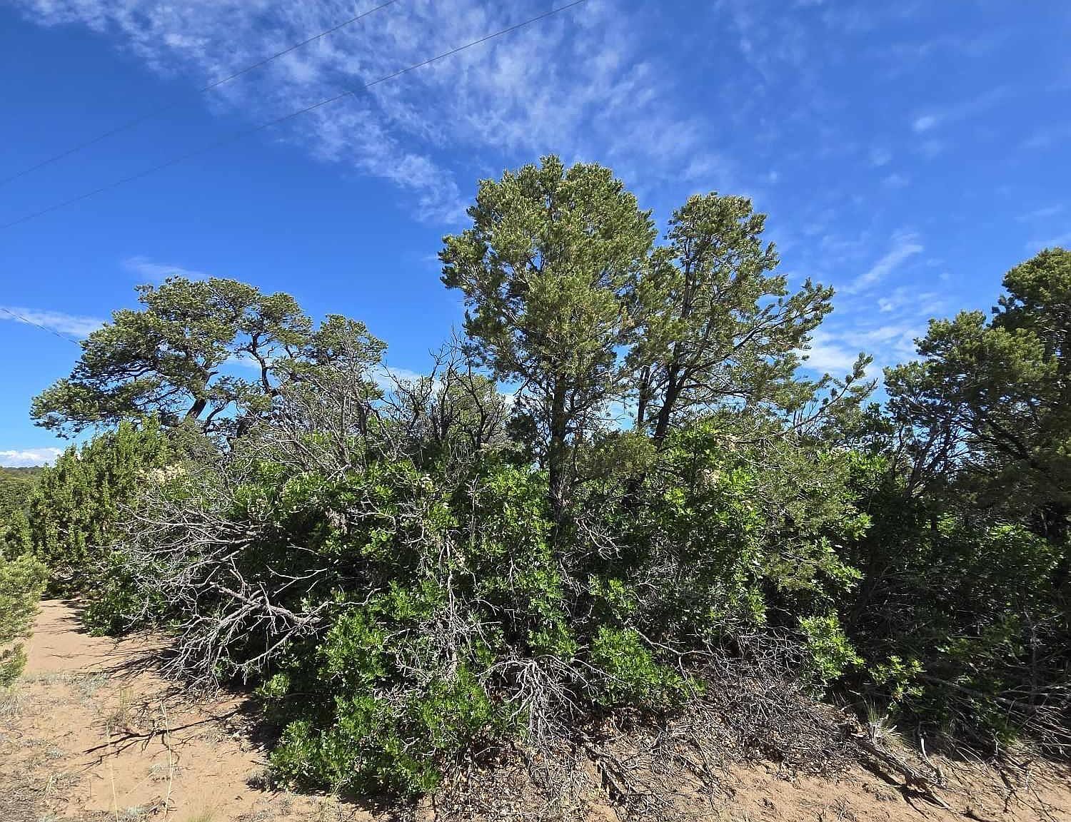 67 Seneca Pl #2 Walsenburg, CO 81089 - Thumbnail 2