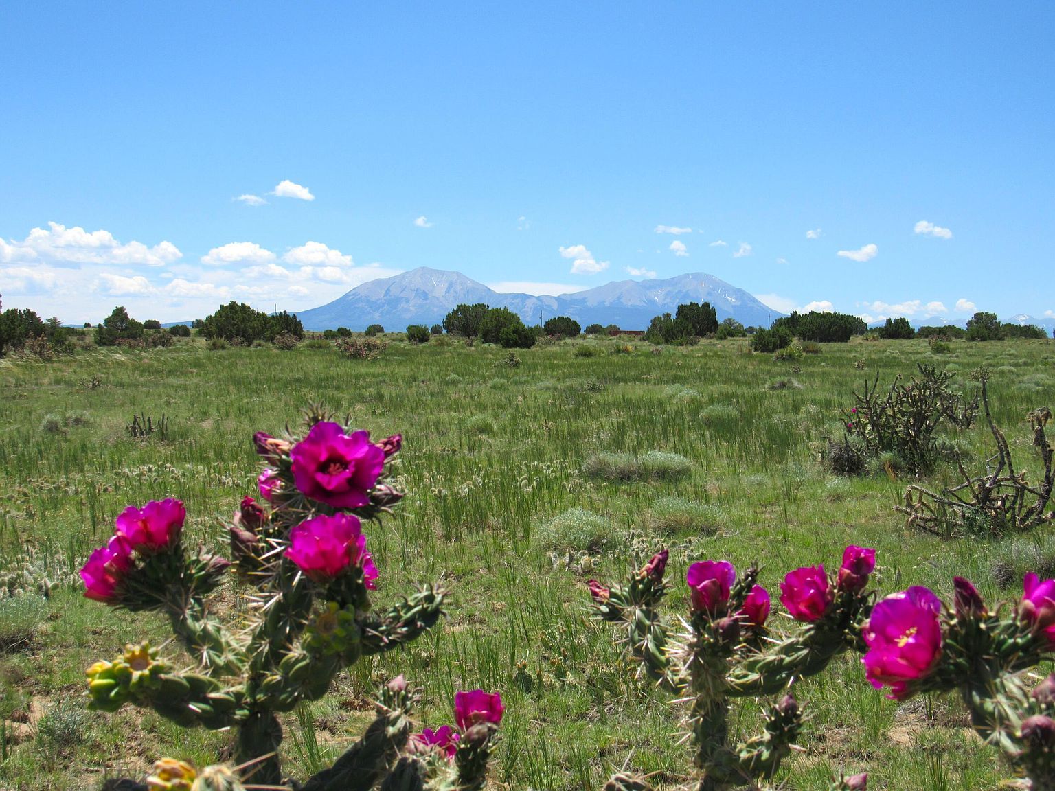 Huajatolla Blvd LOT 829 & 830 Walsenburg, CO 81089 - Thumbnail 2