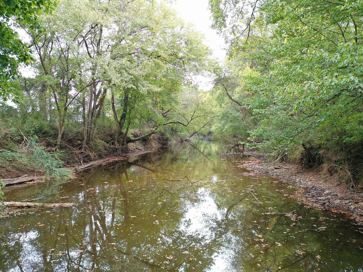 120 March Mill Rd Fayetteville, TN 37334 - Thumbnail 2