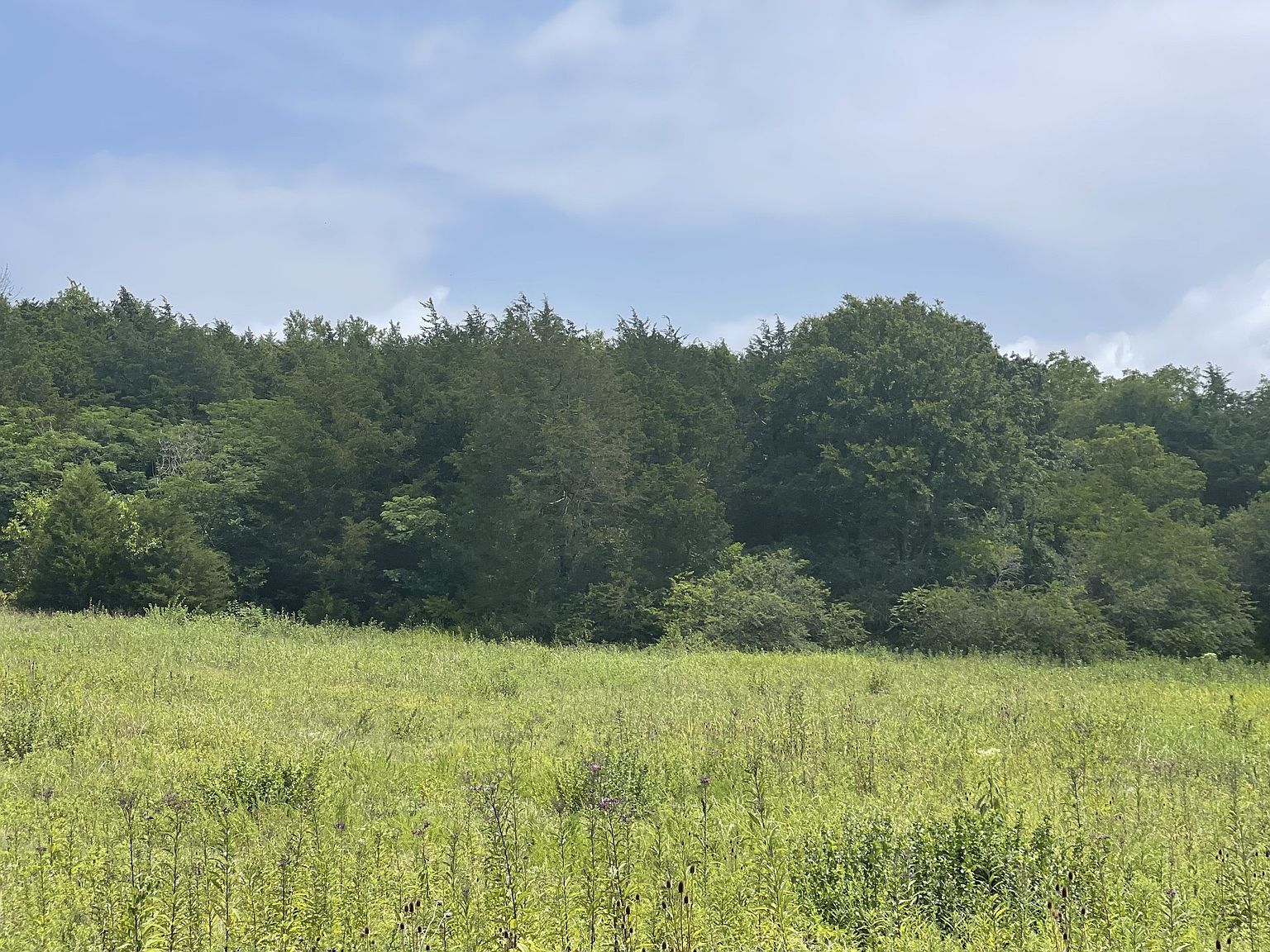 0 Shelbyville Hwy Fayetteville, TN 37334 - Thumbnail 2