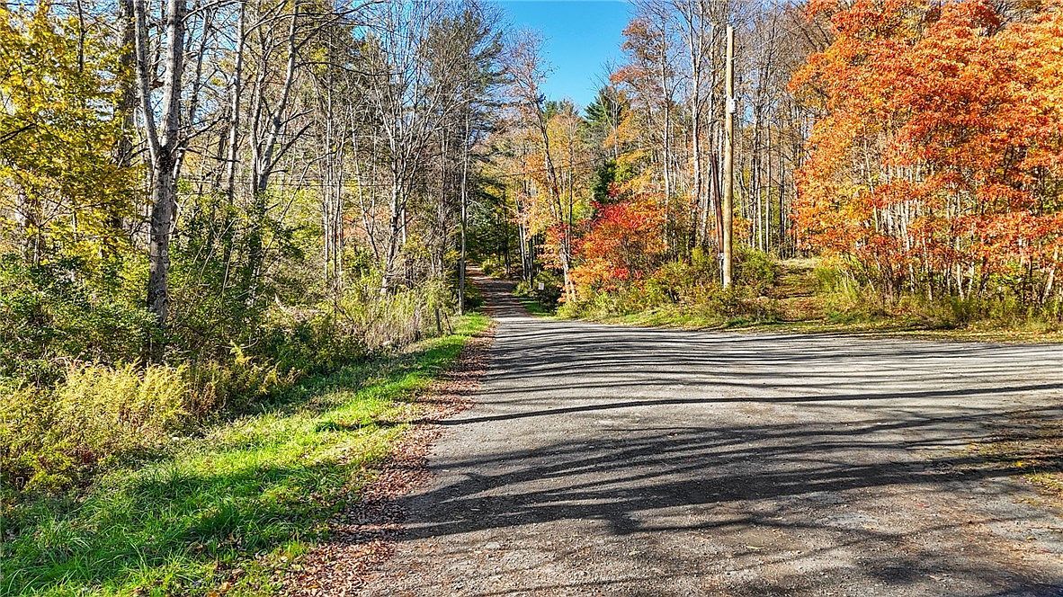 Deputron Hollow Rd #13 Brooktondale, NY 14817 - Thumbnail 2