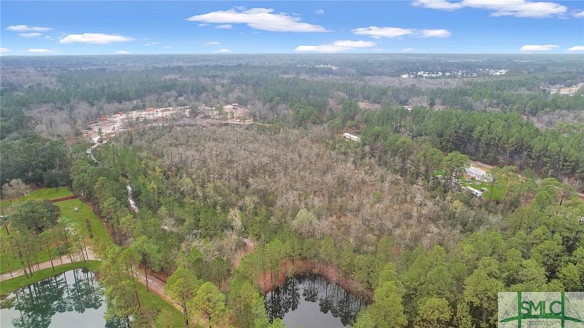 0 Curtis Rd Hinesville, GA 31313 - Thumbnail 2