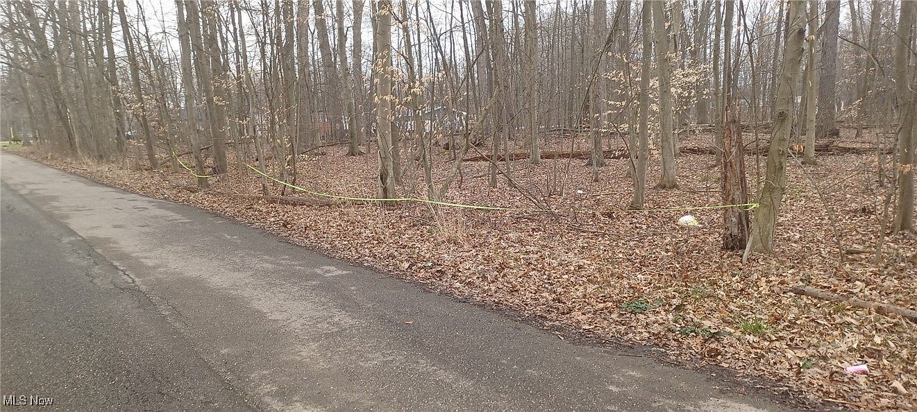 Idylwild Ave Lake Milton, OH 44429 - Thumbnail 2