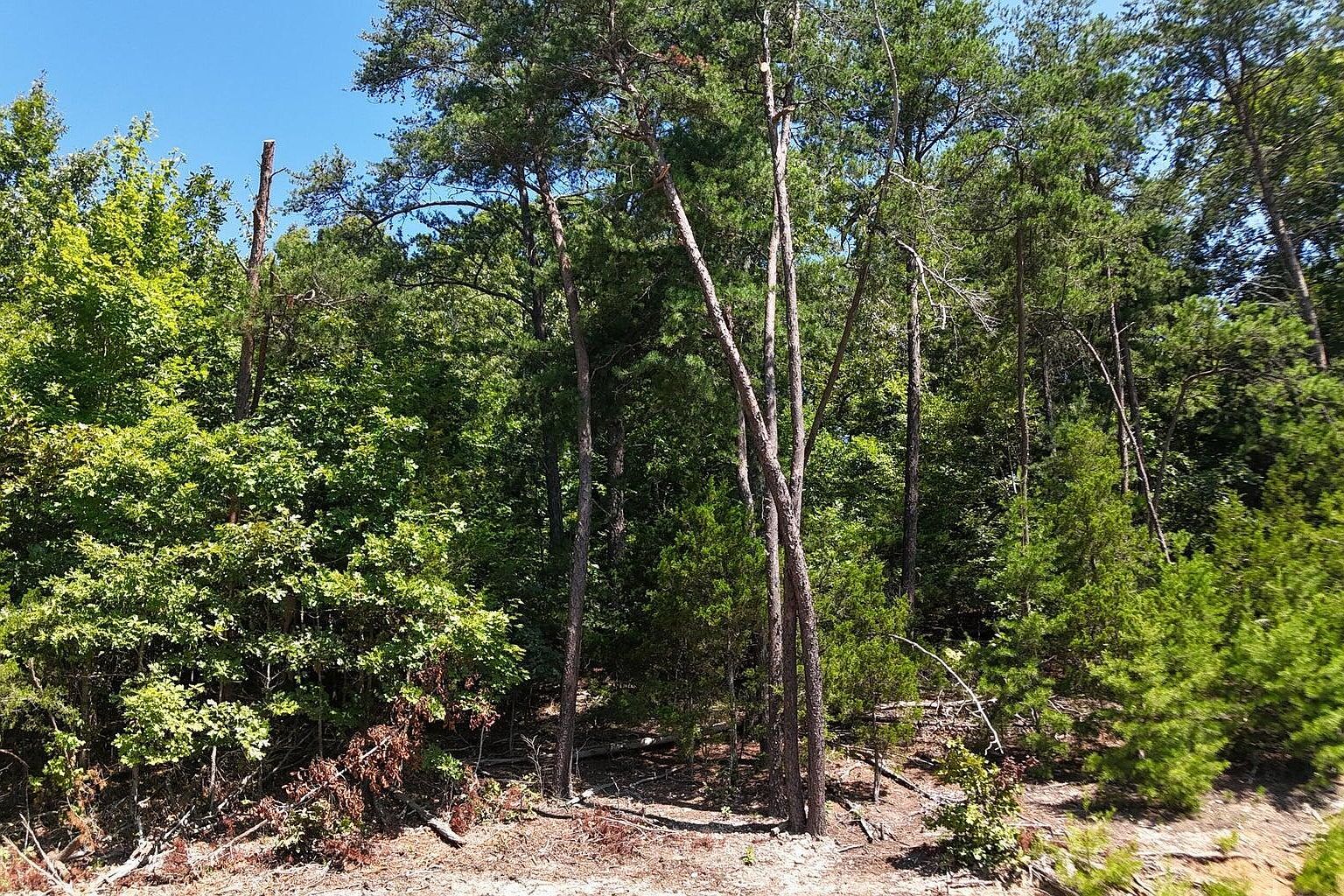 LOT 2 Flat Woods Rd Dandridge, TN 37725 - Thumbnail 2