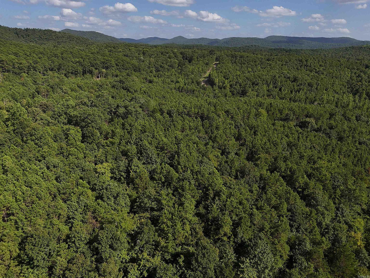 18 Polk Rd #78 Mena, AR 71953 - Thumbnail 2