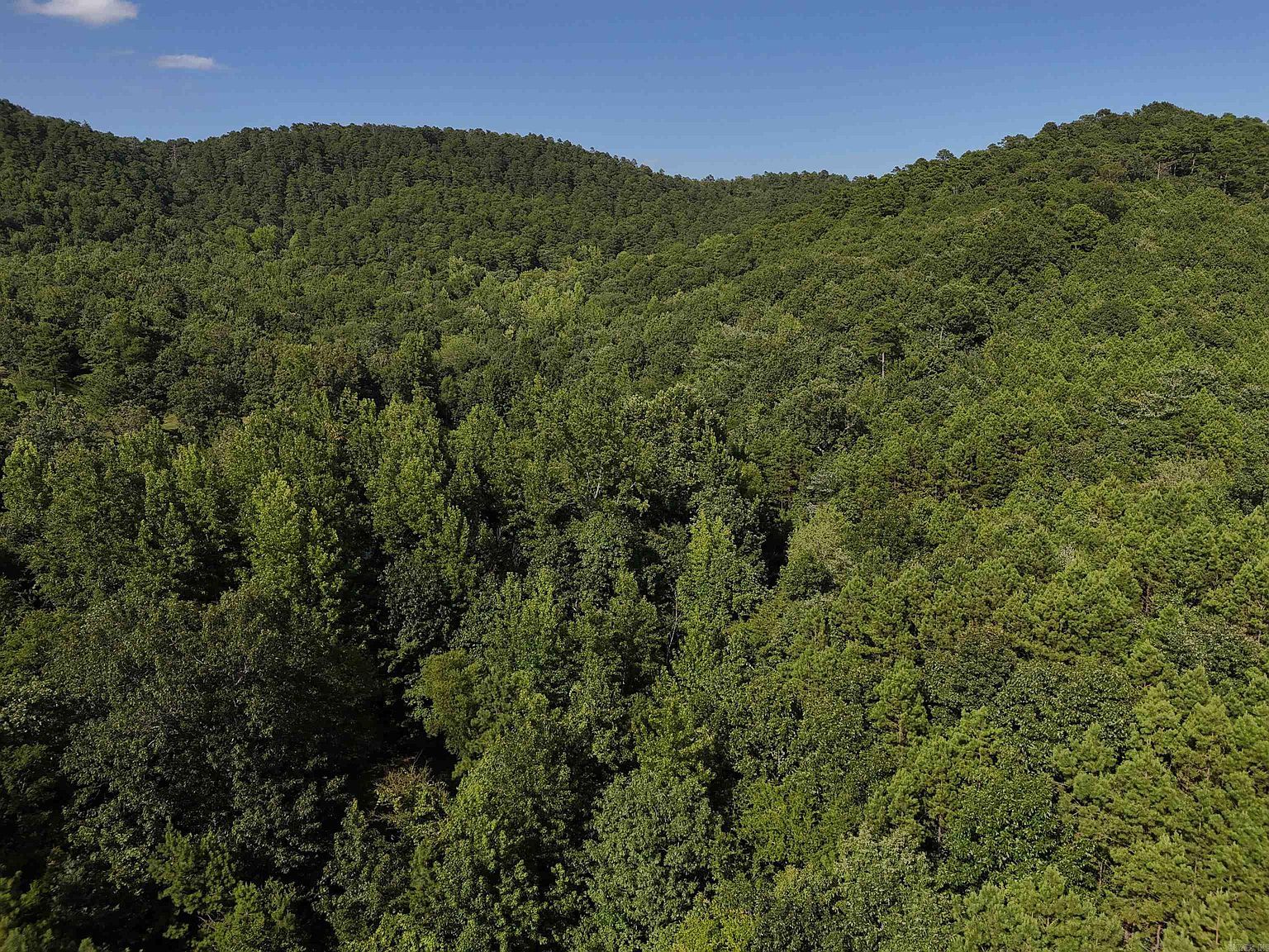 17 Polk Rd #78 Mena, AR 71953 - Thumbnail 2